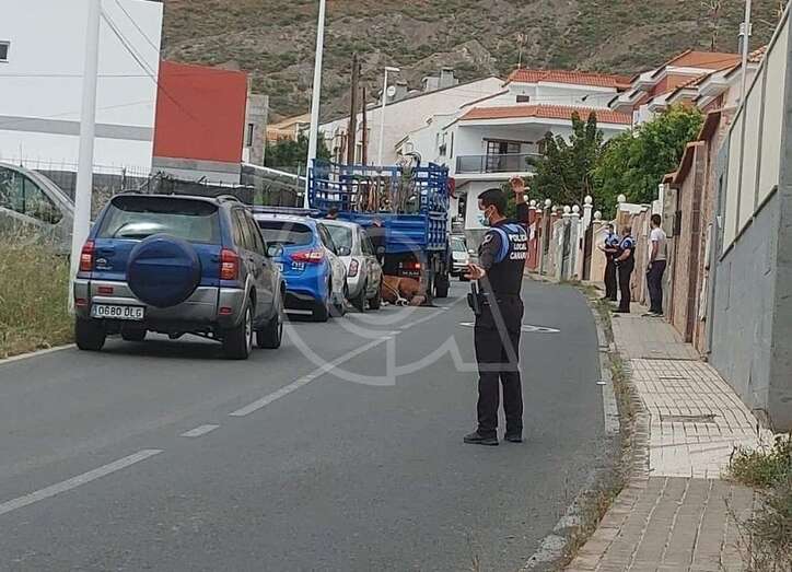 Imagen del caballo sobre el asfalto/TA.